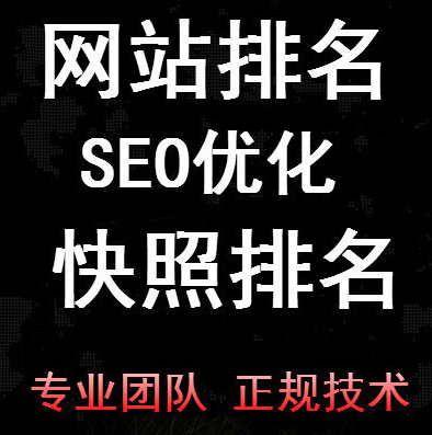 网站seo优化推广服务专业团队