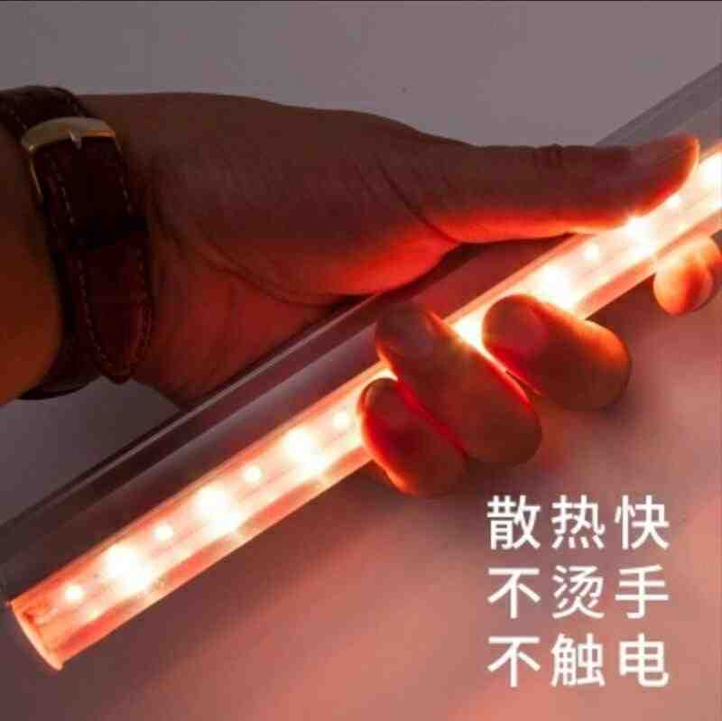 生鲜灯